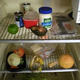 Pictured. The Pliny Family Fridge 1999-2013